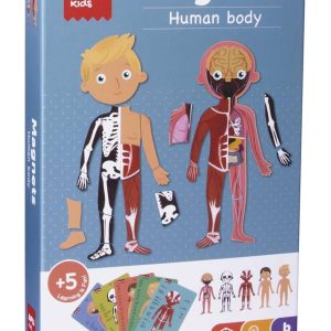 Magent human body