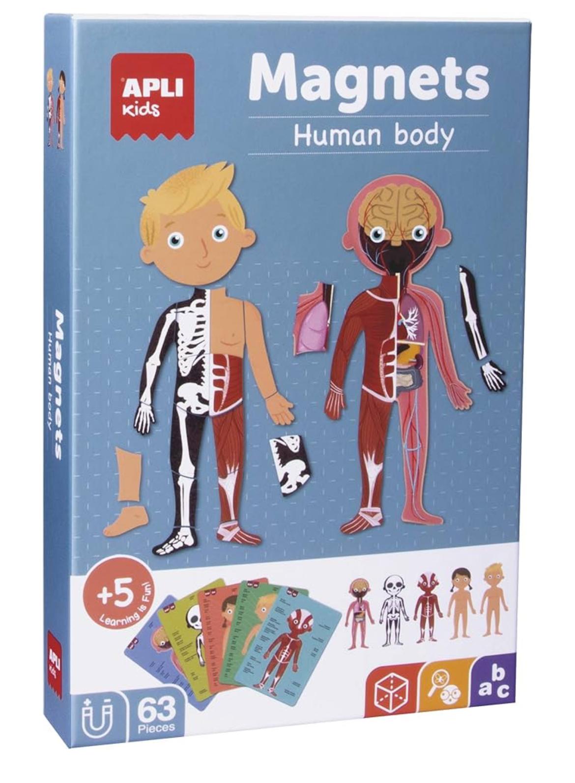 Magent human body
